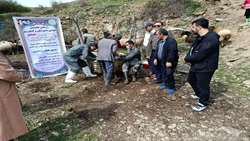 در راستای امید آفرینی رزمایش تخصصی جهادی واکسیناسیون دام در گلوگاه برگزار شد